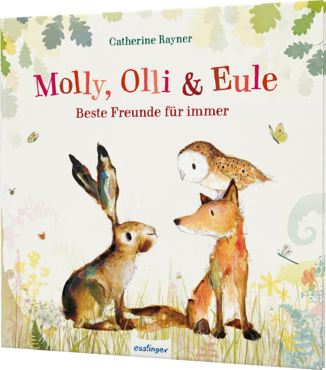 Book Molly, Olli & Eule Catherine Rayner
