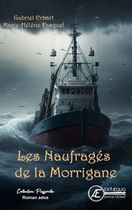 Knjiga LES NAUFRAGES DE LA MORRIGANE GABRIEL ERHART & M.-