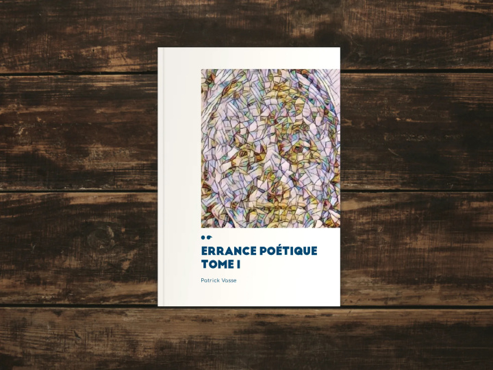 Книга ERRANCE POETIQUE TOME1 Vasse