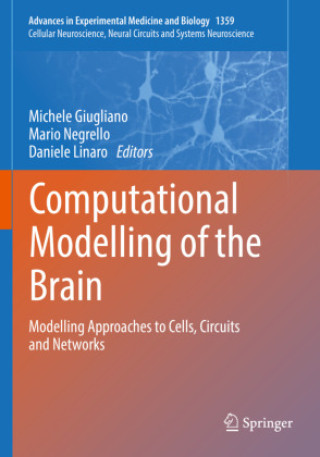 Knjiga Computational Modelling of the Brain Michele Giugliano