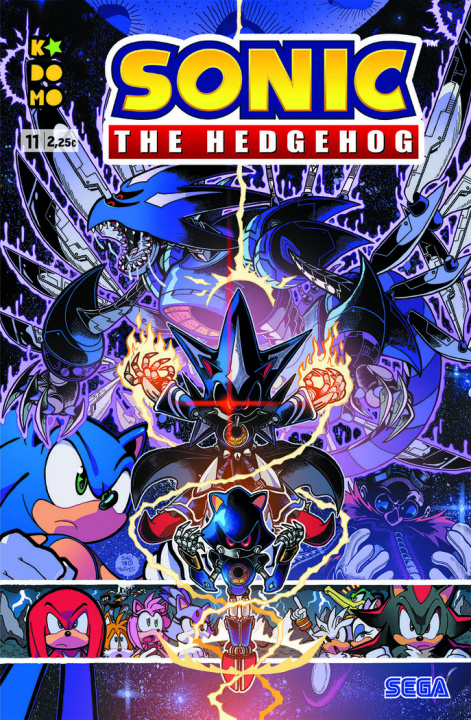 Libro SONIC: THE HEDHEGOG NUM. 11 FLYNN