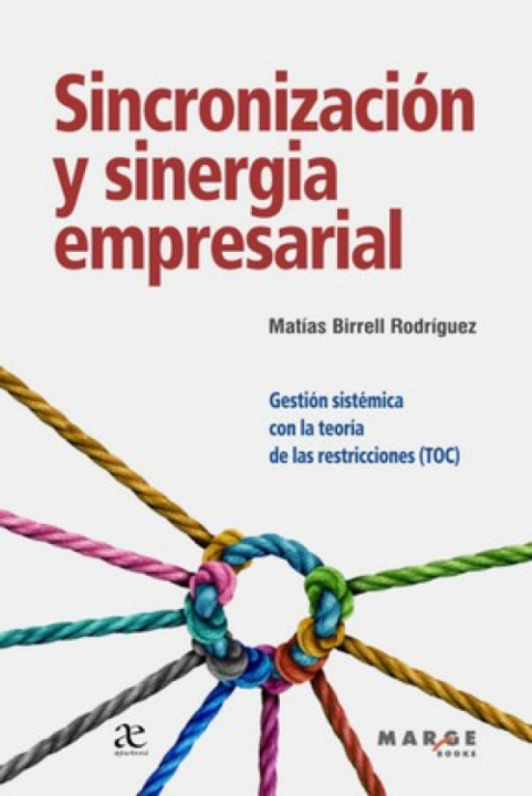 Kniha SINCRONIZACION Y SINERGIA EMPRESARIAL MATIAS BIRRELL RODRIGUEZ