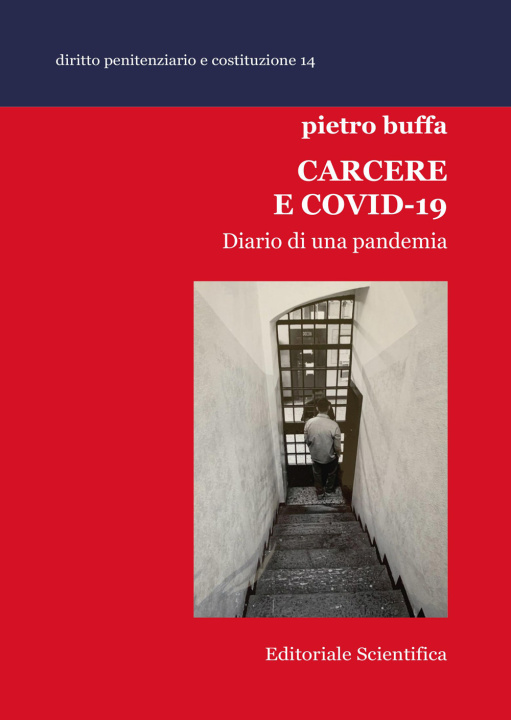 Kniha Carcere e Covid-19. Diario di una pandemia Pietro Buffa