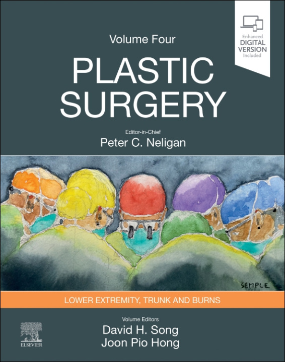 Kniha Plastic Surgery: Volume 4: Trunk and Lower Extremity Joon Pio Hong