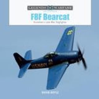 Kniha F8f Bearcat: Grumman's Late-War Dogfighter 