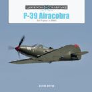 Kniha P-39 Airacobra: Bell Fighter in World War II 