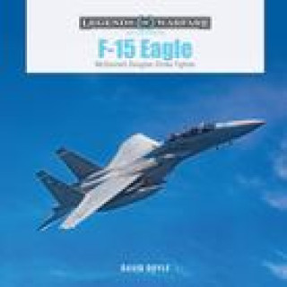 Könyv F-15 Eagle: McDonnell Douglas Strike Fighter 