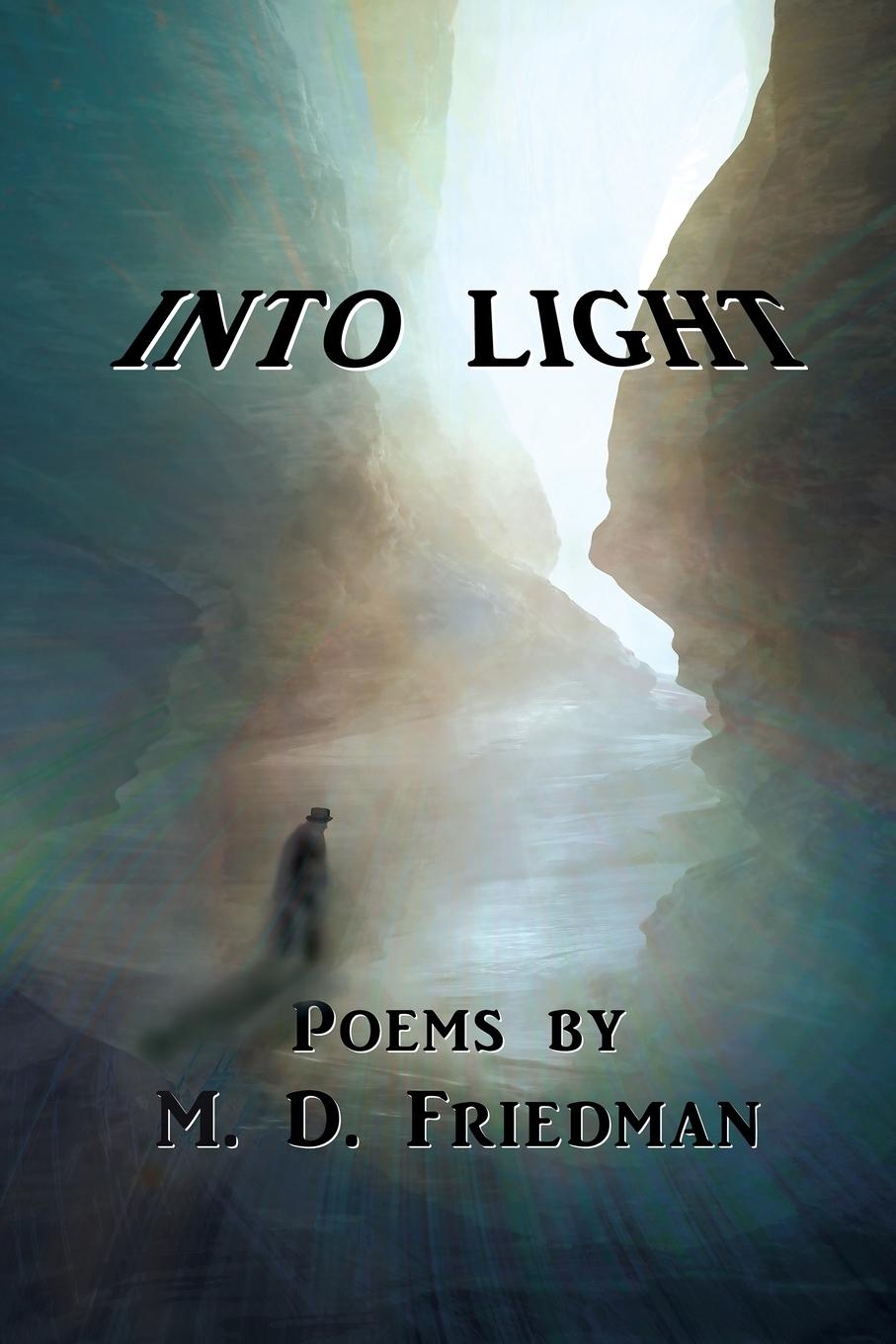 Buch Into Light M. D. Friedman