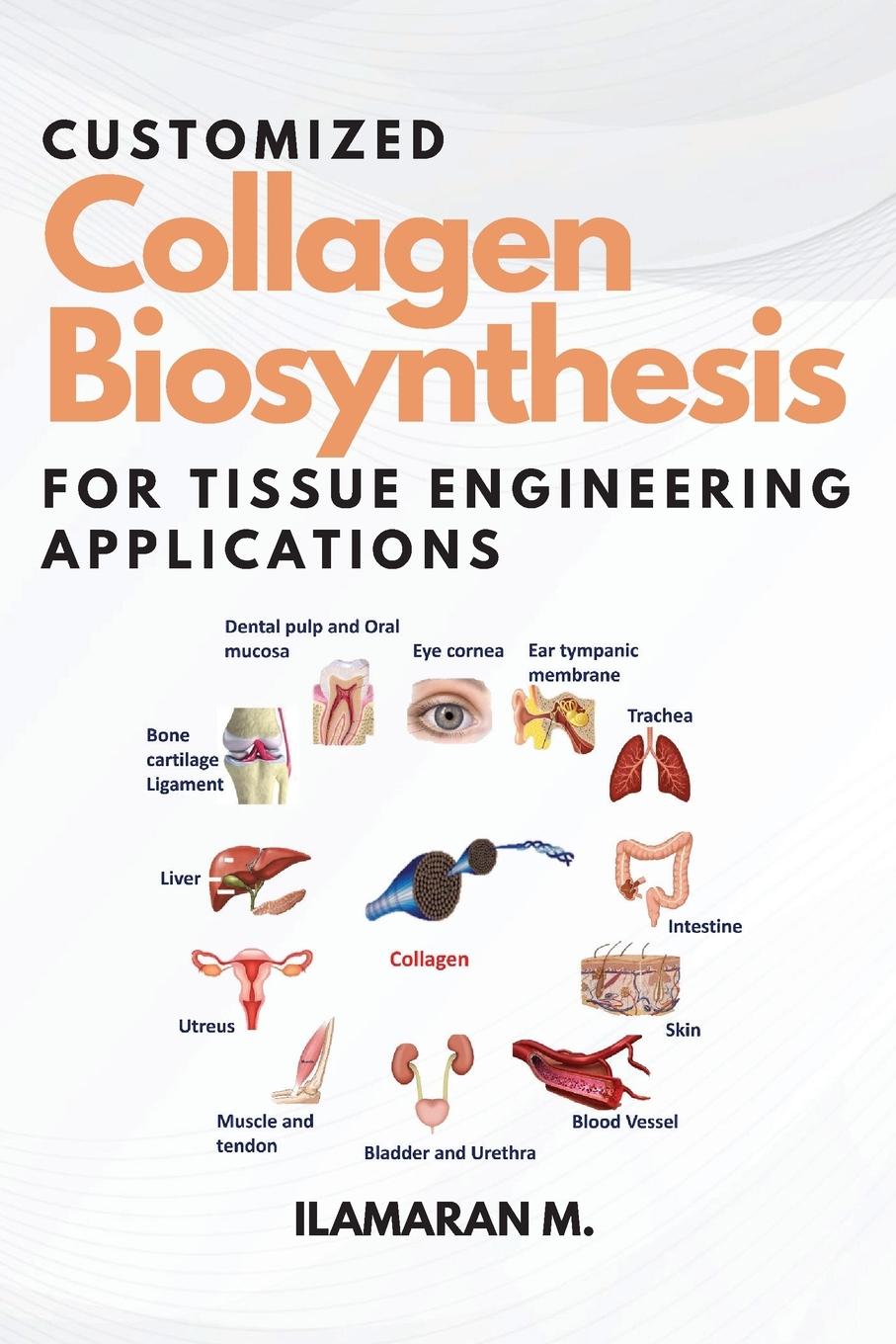 Carte Customized Collagen Biosynthesis for Tissue Engineering Applications 