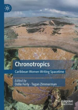 Knjiga Chronotropics Odile Ferly