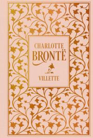 Kniha Villette Christiane Agricola