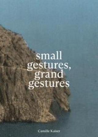Knjiga small gestures, grand gestures Lydia Amarouche