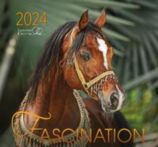 Календар/тефтер Fascination 2024 
