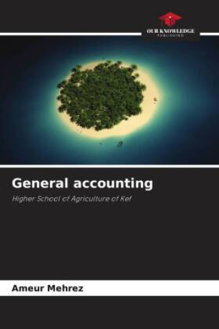 Buch General accounting Ameur Mehrez