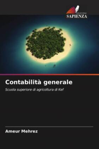 Book Contabilit? generale Ameur Mehrez