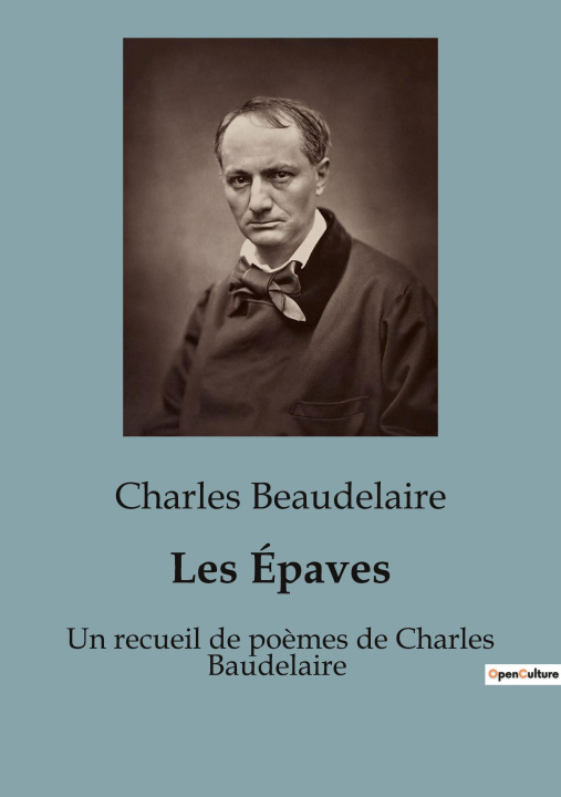 Knjiga Les Épaves Beaudelaire