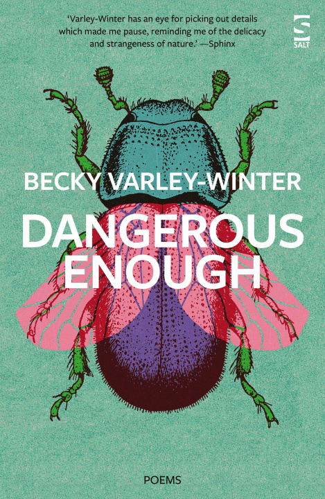 Knjiga Dangerous Enough Ms Becky Varley-Winter