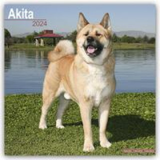 Календар/тефтер Akita Calendar 2024  Square Dog Breed Wall Calendar - 16 Month 