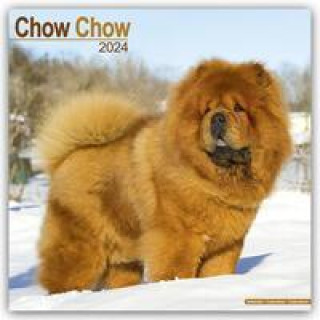 Calendar / Agendă Chow Chow Calendar 2024  Square Dog Breed Wall Calendar - 16 Month 