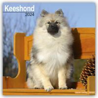 Calendar / Agendă Keeshond Calendar 2024  Square Dog Breed Wall Calendar - 16 Month 