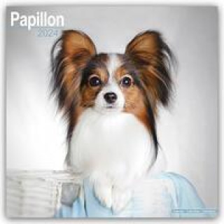 Calendar/Diary Papillon Calendar 2024  Square Dog Breed Wall Calendar - 16 Month 