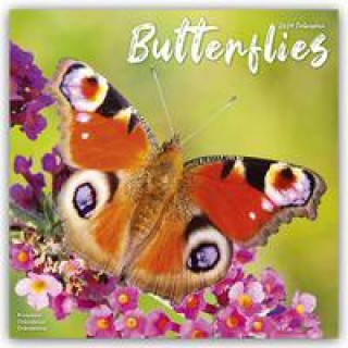 Календар/тефтер Butterflies Calendar 2024  Square Butterfly Wall Calendar - 16 Month 