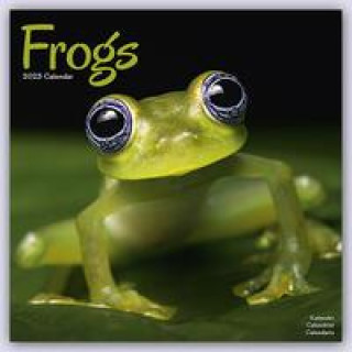 Kalendář/Diář Frogs Calendar 2024  Square Animal Wall Calendar - 16 Month 