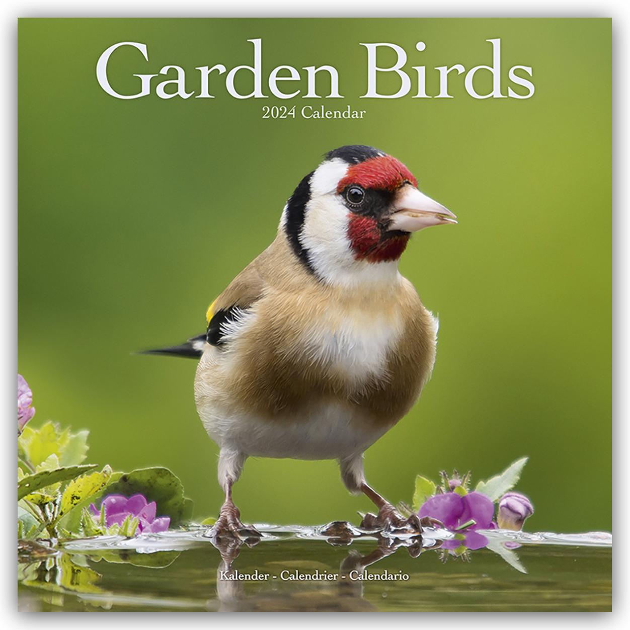 Naptár/Határidőnapló Garden Birds Calendar 2024  Square Birds Wall Calendar - 16 Month 