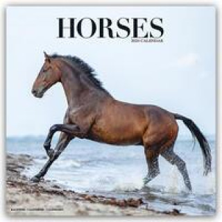 Naptár/Határidőnapló Horses Calendar 2024  Square Horses Wall Calendar - 16 Month 