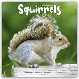 Calendar / Agendă Squirrels Calendar 2024  Square Animal Wall Calendar - 16 Month 