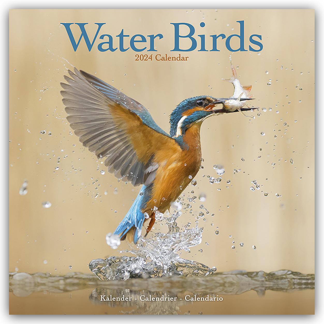 Kalendarz/Pamiętnik Waterbirds Calendar 2024  Square Birds Wall Calendar - 16 Month 