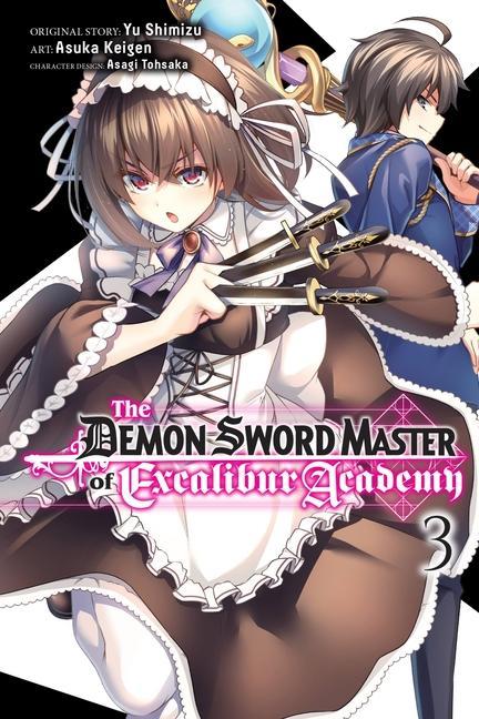 Könyv Demon Sword Master of Excalibur Academy, Vol. 3 (manga) Shimizu