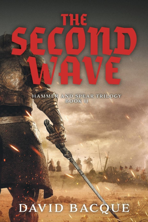 Knjiga The Second Wave David Bacque