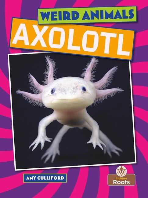 Książka Axolotl 