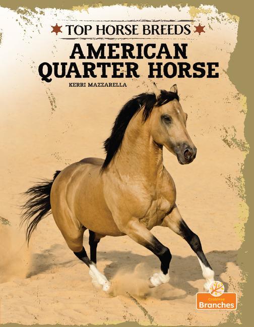 Kniha American Quarter Horse 