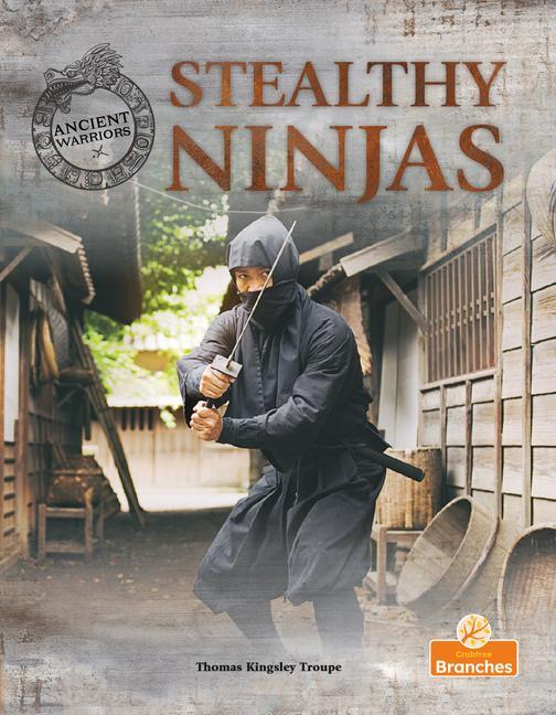 Kniha Stealthy Ninjas 