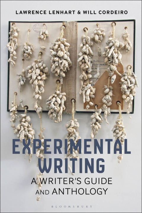 Libro Experimental Writing: A Writer's Guide and Anthology William Cordeiro