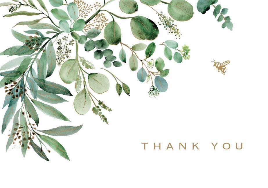 Book Eucalyptus Thank You Note Cards 