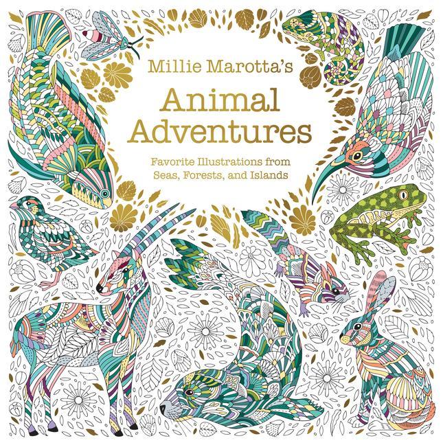 Knjiga Millie Marotta's Animal Adventures: Favorite Illustrations from Seas, Forests, and Islands 