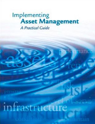 Könyv Implementing Asset Management: A Practical Guide 