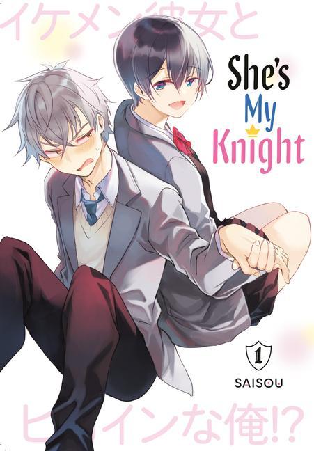 Buch She's My Knight 1 