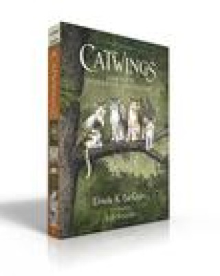 Könyv The Catwings Complete Paperback Collection (Boxed Set): Catwings; Catwings Return; Wonderful Alexander and the Catwings; Jane on Her Own S. D. Schindler
