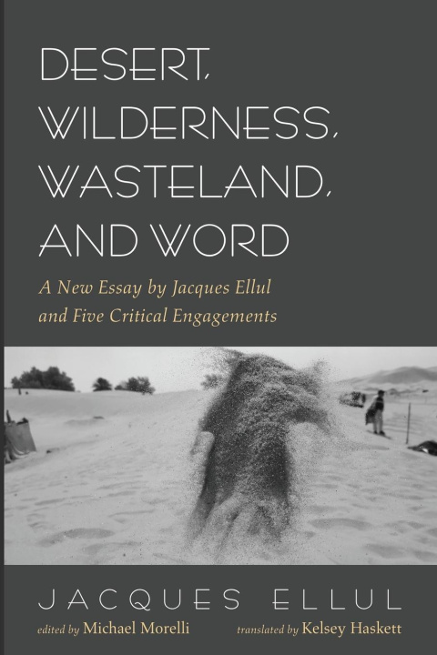 Knjiga Desert, Wilderness, Wasteland, and Word Michael Morelli