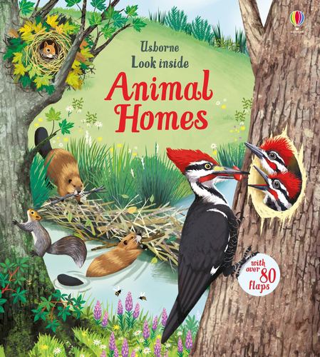 Βιβλίο Look Inside Animal Homes Maribel Lechuga