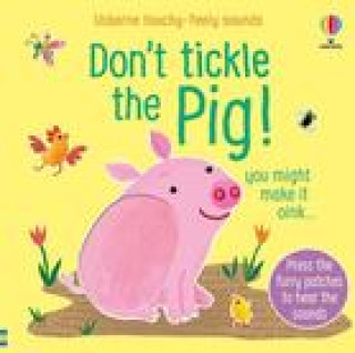 Book Don't Tickle the Pig Ana Martin Larranaga