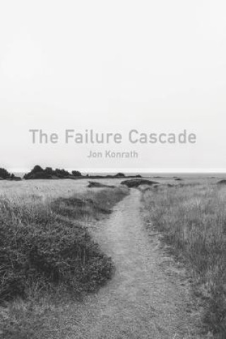 Buch The Failure Cascade Jon Konrath