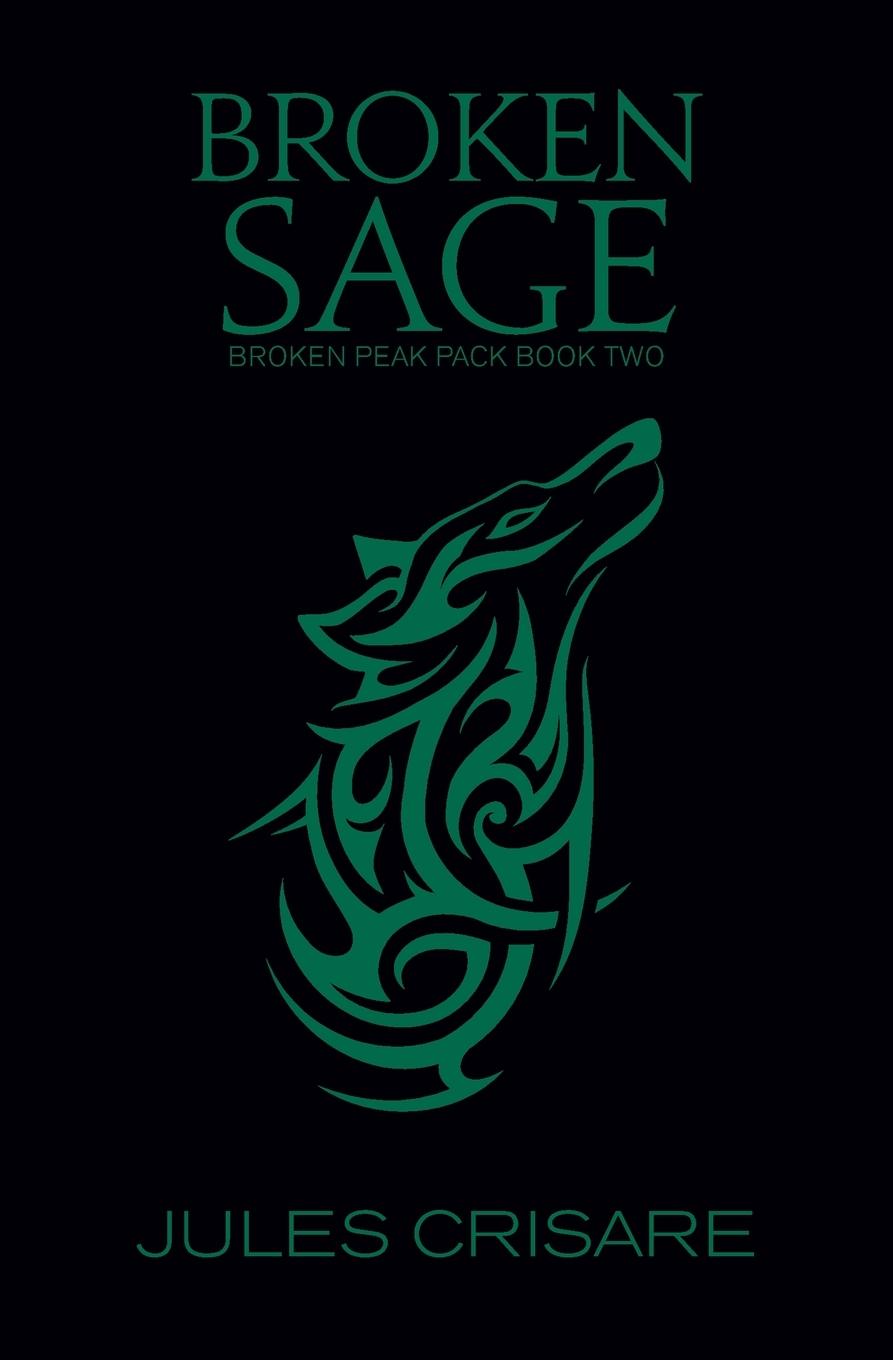 Knjiga Broken Sage Jules Crisare