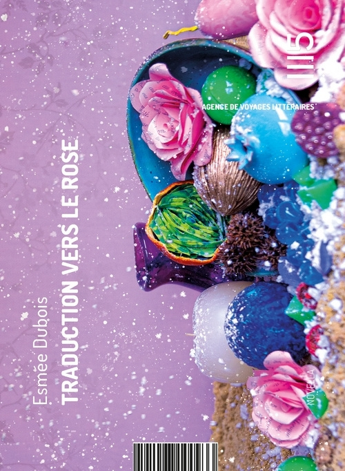Buch Traduction vers le rose Dubois
