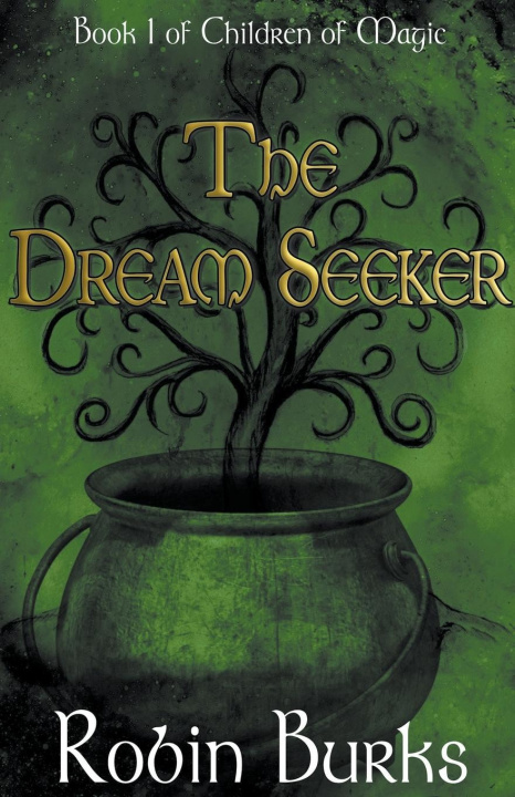 Book The Dream Seeker Robin Burks
