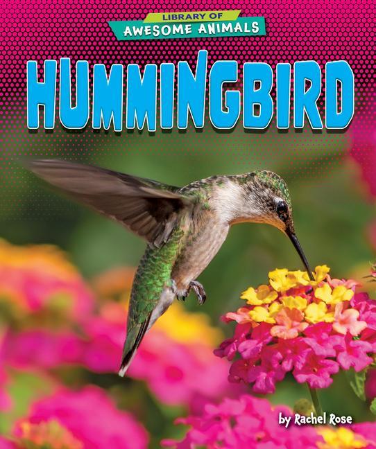 Knjiga Hummingbird 